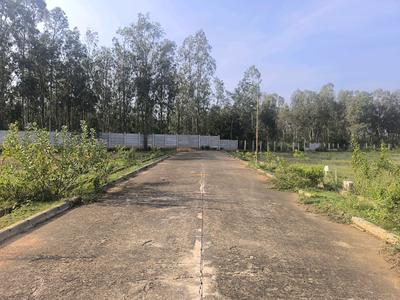Image of 1000 Sq.ft Residential Plot / Land for sale in Hoskote, Bengaluru for Rs. 2800200