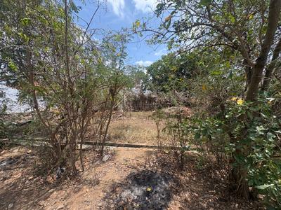 Kangeyampalyam Plot View 2