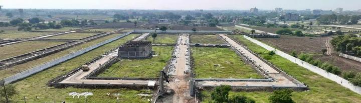 Exotica Woods Main Image 1