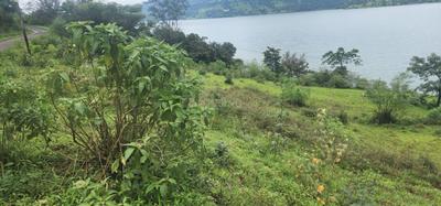 Image of 520000 Sq.ft Residential Plot / Land for sale in Varasgaon, Pune for Rs. 123500000