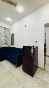 Hall Image of 550 Sq.ft 1 BHK Builder Floor for rent in Vijay Nagar Indore for Rs. 17000