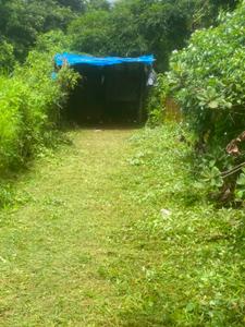 Image of 5000 Sq.ft 1 BHK Independent House for rent in Camurlim, Goa for Rs. 25000