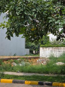 Image of 538 Sq.ft Residential Plot / Land for sale in DLF Alameda, Sector 73, Gurgaon for Rs. 156000000