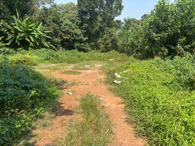 Image of 2177 Sq.ft Residential Plot / Land for sale in Chottanikkara, Kochi for Rs. 550000