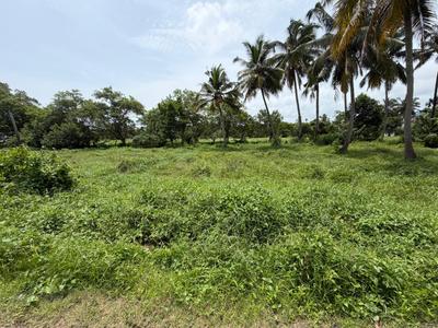 Keralarealty Plot View 3