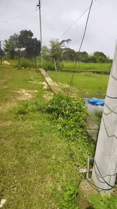 Image of 435 Sq.ft Residential Plot / Land for sale in Pundag, Ranchi for Rs. 1600000