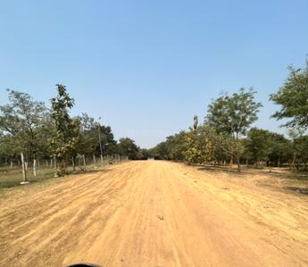 Image of 6000 Sq.ft Residential Plot / Land for sale in Mopka, Bilaspur for Rs. 24000000