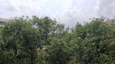 Image of 1400 Sq.ft 3 BHK Apartment / Flat for rent in Cosmic Sea Shell Apartment, Andheri West, Mumbai for Rs. 156000