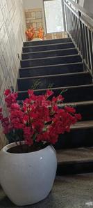 Bathroom Image of SOMO pg in Sector 135, Noida