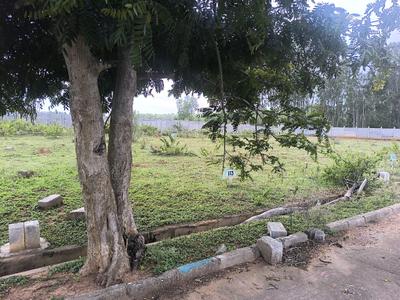 Image of 900 Sq.ft Residential Plot / Land for sale in Hoskote, Bengaluru for Rs. 2565100