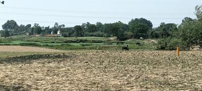 Image of 1000 Sq.ft Residential Plot / Land for sale in Dayanand Nagar, Gorakhpur for Rs. 851000