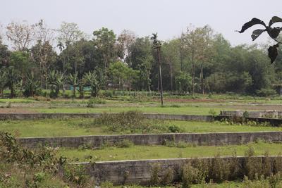 Image of 720 Sq.ft Residential Plot / Land for sale in Ranga Pani, Siliguri for Rs. 699000
