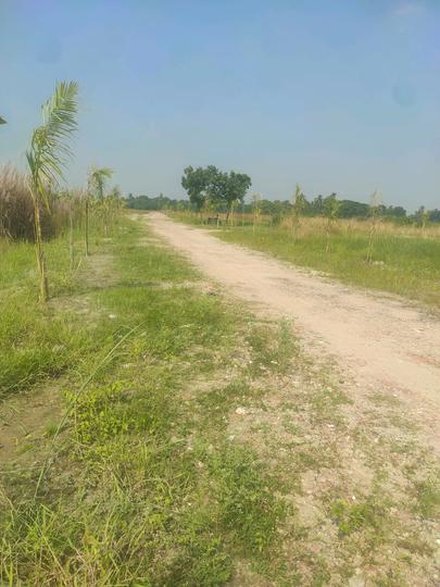 Metroplex City Main Image 1