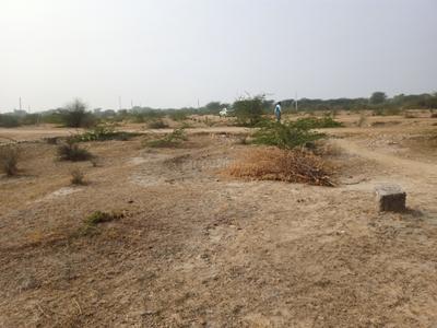 Image of 1992 Sq.ft Residential Plot / Land for sale in Chaksu, Jaipur for Rs. 1788000