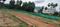Gayatri Orchids Plot View 2
