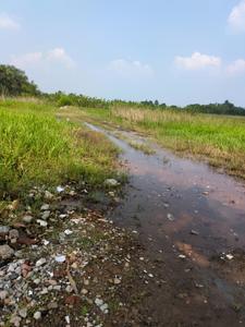 Image of 3600 Sq.ft Residential Plot / Land for sale in Natures Paradise, Joka, Kolkata for Rs. 999999