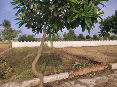 Image of 445 Sq.ft Residential Plot / Land for sale in Del NCR Aerocity Jewar, Shahpur Kala, Greater Noida for Rs. 1159200