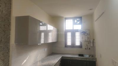 Kitchen Image of 2400 Sq.ft 3 BHK Builder Floor for rent in Sector 17 Gurgaon for Rs. 65000