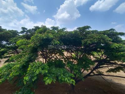 Balcony Image of 1505 Sq.ft 3 BHK Apartment / Flat for sale in Saibya Sundew by Saibya Structures Pvt Ltd, Doddakammanahalli Bengaluru for Rs. 14250000