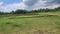 Juggaur Plot View 2