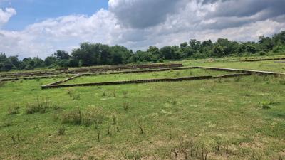 Juggaur Plot View 2