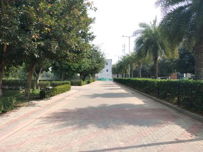 Image of 145 Sq.ft Residential Plot / Land for sale in BPTP District, Sector 81, Faridabad for Rs. 36250000