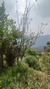 Image of 2000 Sq.ft 2 BHK Independent House for rent in Thapla, Ranikhet for Rs. 10000