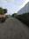 NIBM , Kondhwa Internal Roads 1