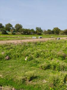 Image of 675 Sq.ft Residential Plot / Land for sale in Mhasrul 181, Mhasrul Gaon, Nashik for Rs. 2300000