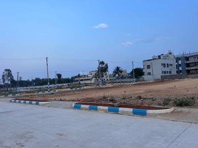 Residential Plot