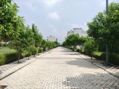 Image of 125 Sq.ft Residential Plot / Land for sale in Mansha Oaks, Sector 98, Faridabad for Rs. 16250000
