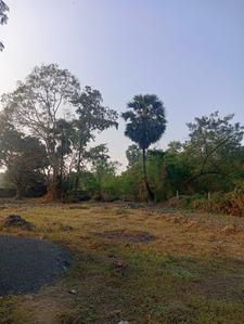 Image of 1000 Sq.ft Residential Plot / Land for sale in Boisar, Mumbai for Rs. 1000000