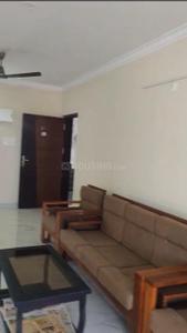 Hall Image of 1200 Sq.ft 2 BHK Apartment / Flat for rent in Kadri Mangalore for Rs. 30000