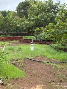 Image of 24976 Sq.ft Residential Plot / Land for sale in Niwali, Ratnagiri for Rs. 9000000