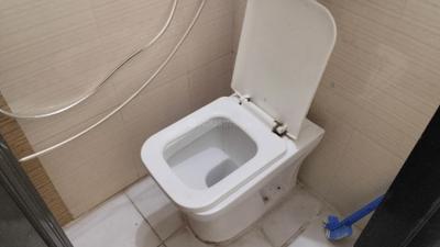 Bathroom Image of 650 Sq.ft 1 BHK Apartment / Flat for rent in Krishna Heights, Ghansoli Navi Mumbai for Rs. 45000