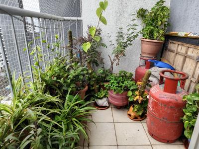 Balcony Image of 839 Sq.ft 2 BHK Apartment / Flat for sale in Silver Stone, Handewadi Pune for Rs. 4500000