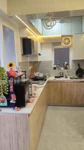 Kitchen Image of 954 Sq.ft 2 BHK Builder Floor for sale in Signature Global City 81 Phase 2, Sector 81 Gurgaon for Rs. 11000000