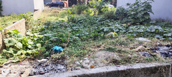 Sahstradhar road Main Image 1