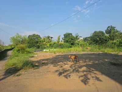 Image of 1089 Sq.ft Residential Plot / Land for sale in Vasai West, Vasai for Rs. 4551000