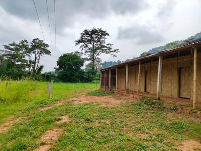 Image of 5760 Sq.ft 3 BHK Independent House for sale in Bonda Gaon, Guwahati for Rs. 3500000