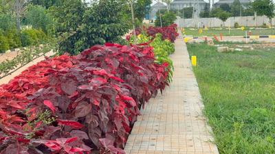 Image of 1200 Sq.ft Residential Plot / Land for sale in Praja Infinity Enclave, Malur, Kolar for Rs. 4400000