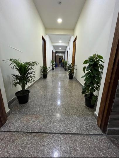 Image of Dhankush girls pg  in Sector 18, Noida