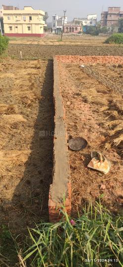 Danapur Nizamat, Danapur Main Image 1