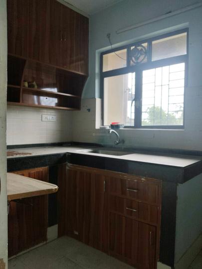 Adya Moore Exotica Main Image 1