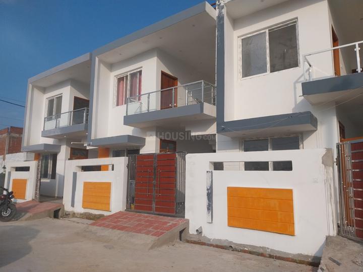 Lolai Main Image 1