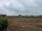Perne Plot View 2
