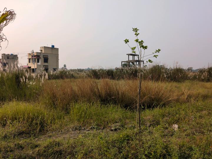 Metroplex City Main Image 1