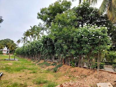 Image of 2295 Sq.ft Residential Plot / Land for sale in Thummaloor, Hyderabad for Rs. 9435000
