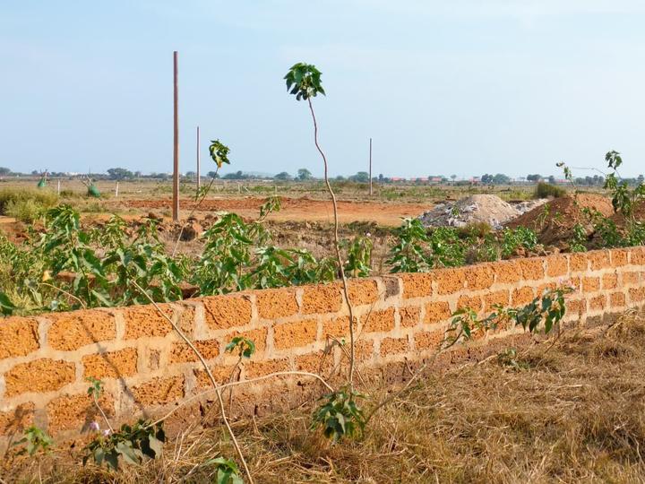 Patrapada Main Image 1