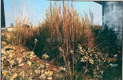 Image of 1800 Sq.ft Residential Plot / Land for sale in Banthra Sikander Pur, Lucknow for Rs. 3150000